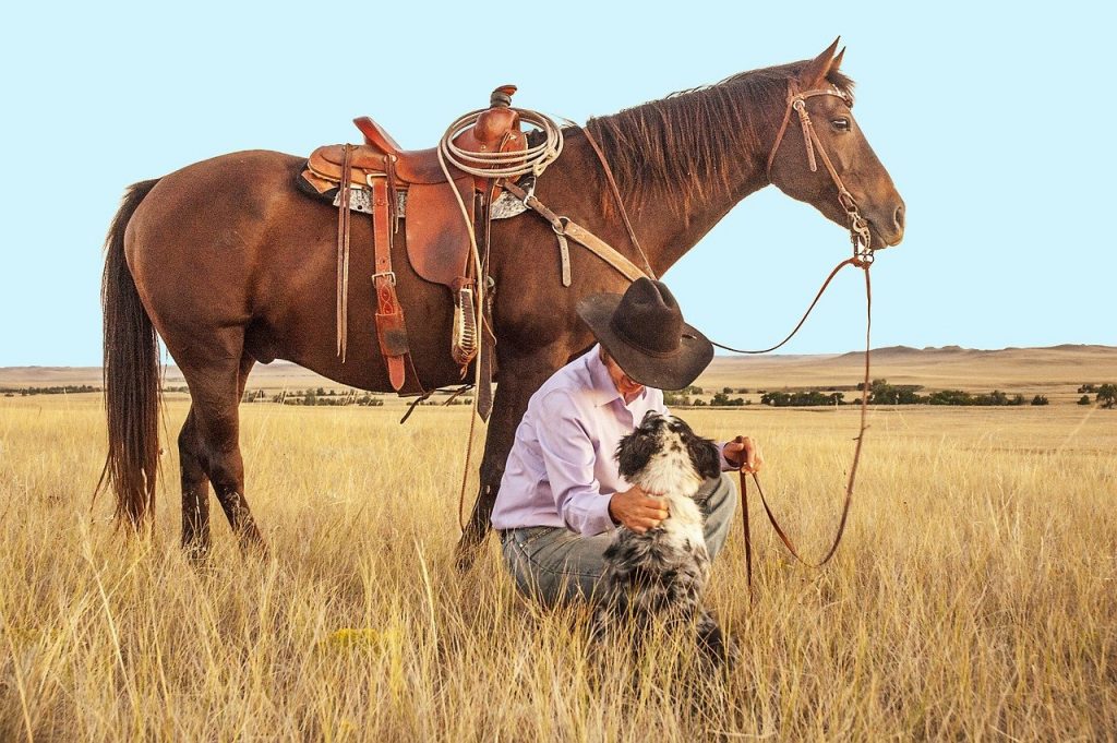 Cowboys and Indians, il meglio delle Rockies